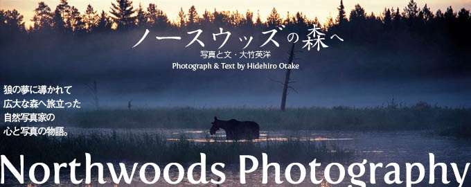 写真家のジム・ブランデンバーグや極地探検家のウィル・スティーガーなど、『ナショナル ジオグラフィック』ゆかりの人々を魅了してやまない北米大陸の「ノースウッズ」。狼の夢に導かれてその広大な森へ旅立った自然写真家の心と写真の物語。