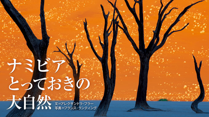 ナミビアの大自然 | ナショナル ジオグラフィック日本版サイト