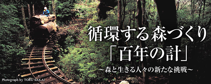 日本の森】 | ナショナル ジオグラフィック日本版サイト