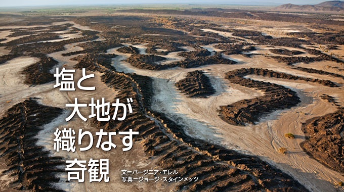 ナショナルジオグラフィック日本版サイト