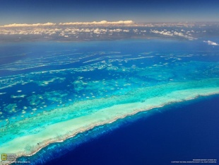 中米 メソアメリカン・リーフの生きものたち 1　上空から見たベリーズ沖の海