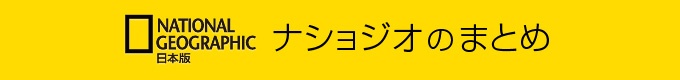 /nng/article/20121023/327803/