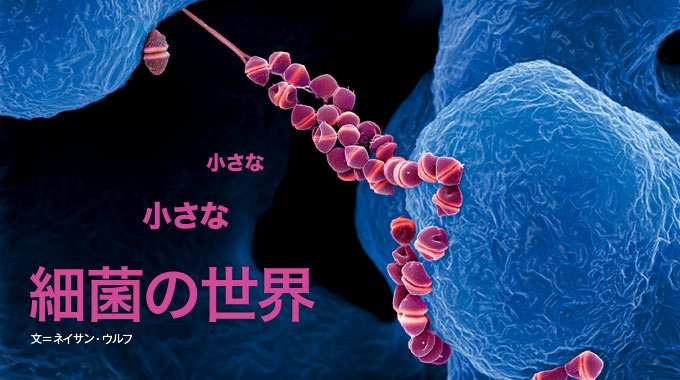 ナショナルジオグラフィック日本版サイト