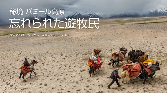 ナショナルジオグラフィック日本版サイト