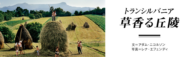 トランシルバニア　草香る丘陵