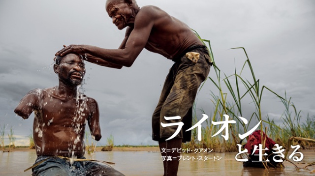 ライオンと生きる ナショナルジオグラフィック日本版サイト ライオンと生きる ナショナルジオグラフィック日本版サイト