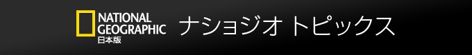 /nng/article/20130806/360768/