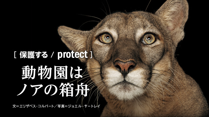 保護する／PROTECT］動物園はノアの箱舟 | ナショナル ジオ