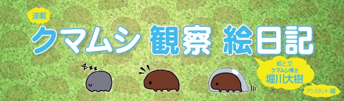 第44回 ビッグ クマムシ ナショナルジオグラフィック日本版サイト 第44回 ビッグ クマムシ ナショナルジオグラフィック日本版サイト