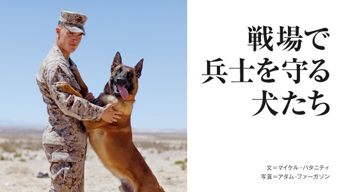 ナショナルジオグラフィック日本版サイト
