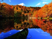 壁紙一覧 ナショナルジオグラフィック日本版サイト