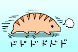 連載 クマムシ観察絵日記 ナショナルジオグラフィック日本版サイト