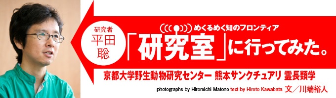 研究室 研究室に行ってみた 京都大学野生動物研究センター 熊本サンクチュアリ 霊長類学 平田聡 ナショナルジオグラフィック日本版サイト 研究室 研究室に行ってみた 京都大学野生動物研究センター 熊本サンクチュアリ 霊長類学 平田聡 ナショナルジオグラフィック日本版サイト