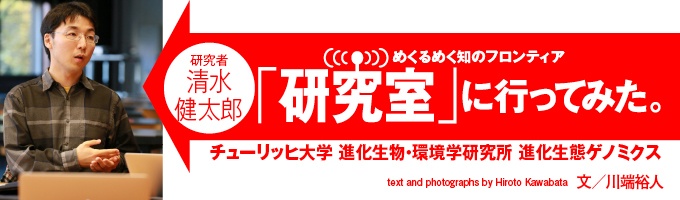 スイスのとある山村で、珍しいことに20世紀になってから誕生した新種の植物が見つかった。たかだか100年でどのように新種が生まれ、そして生き残るのだろうか。フィールドでの観察からゲノム解読まで、さまざまな手法を駆使して進化の謎に挑むスイス・チューリッヒ大学の清水健太郎さんの研究室に行ってみた!