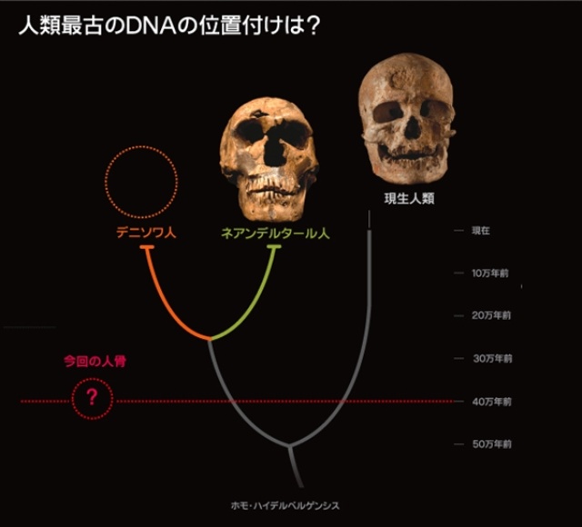 ナショナルジオグラフィック