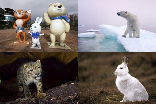 ソチ五輪マスコットの動物たち ナショナルジオグラフィック日本版サイト