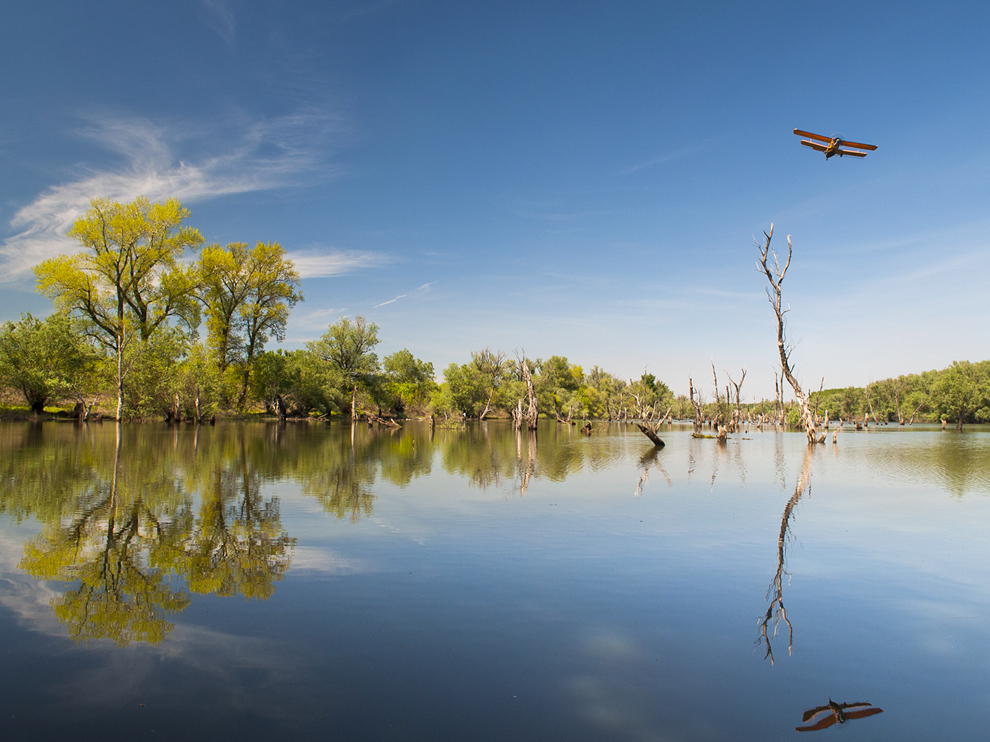 複葉機、セルビア
