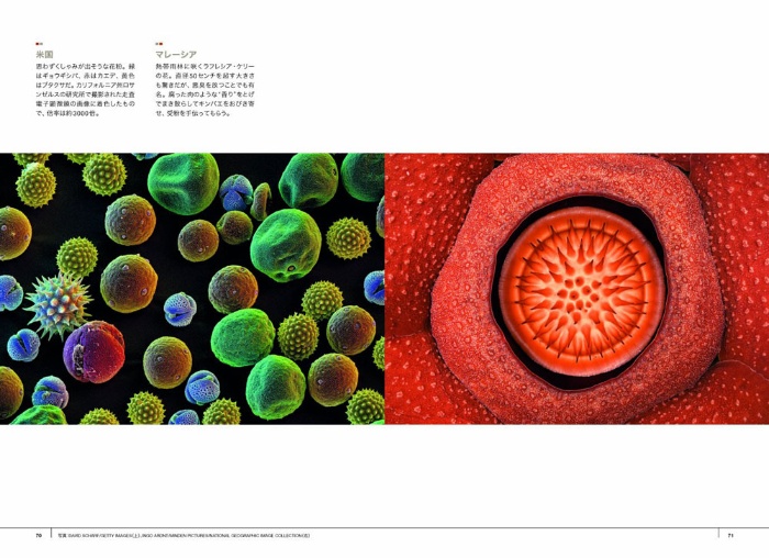ナショナル ジオグラフィック傑作写真集 驚きの地球大紀行 サンプル画像④
