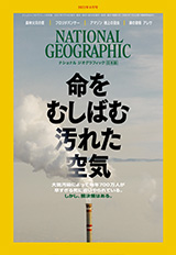 壁紙一覧 ナショナルジオグラフィック日本版サイト