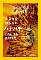 ナショナル ジオグラフィック日本版　2026年5月号