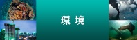 環境の記事一覧