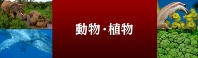 動物・植物・昆虫の記事一覧