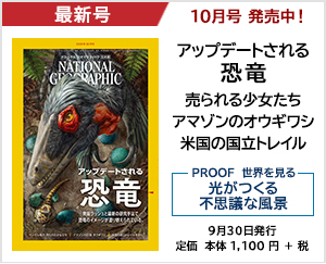 ナショナル ジオグラフィック日本版 2020年10月号