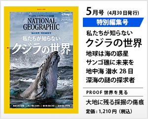 史上最大の翼竜、こんなに頭が大きかったナショナルジオグラフィック日本版サイト