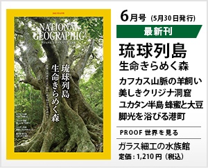 ナショナル ジオグラフィック日本版 2021年6月号