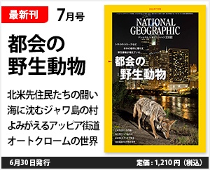 ナショナル ジオグラフィック日本版 2022年7月号