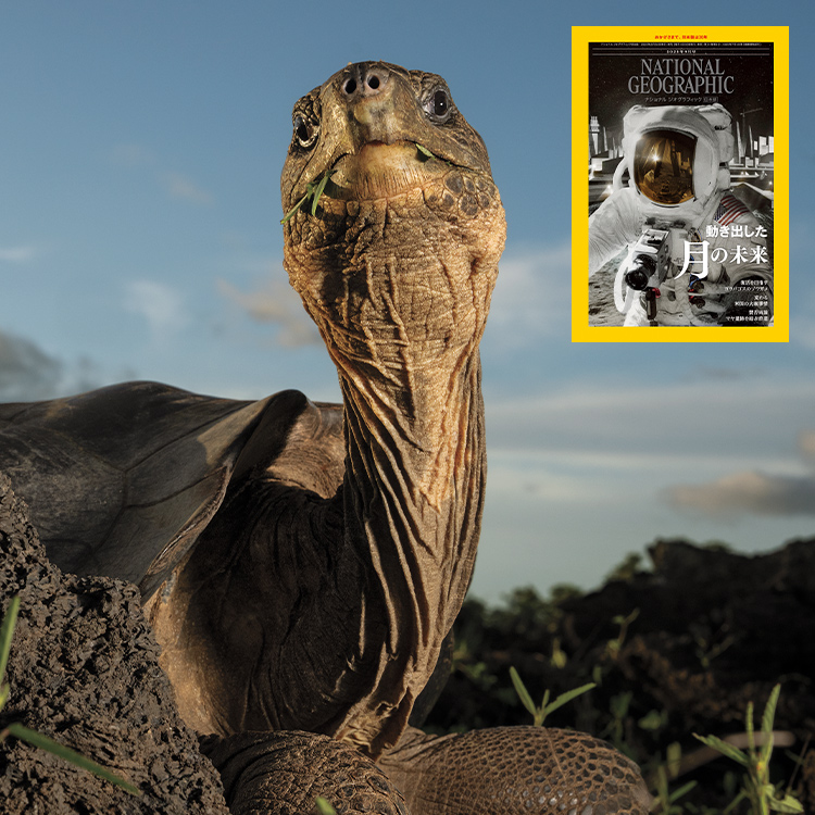 ナショナルジオグラフィック日本版30周年 | ナショナル ジオ