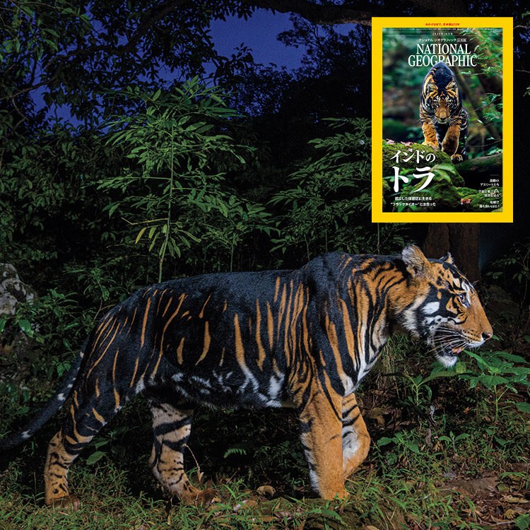 ナショナルジオグラフィック日本版30周年 | ナショナル ジオ
