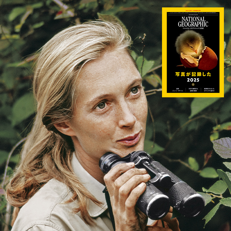 ナショナルジオグラフィック日本版30周年 | ナショナル ジオ